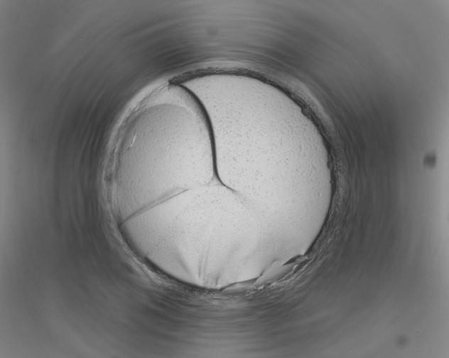 X0000116811076201001291556