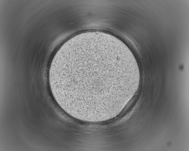 X0000116811077201001291556