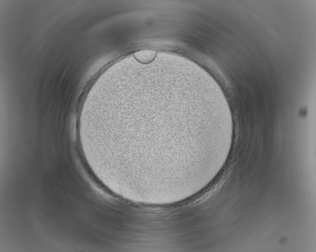 X0000116811079201001291556