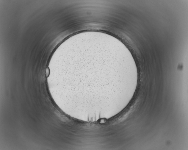 X0000116811081201001291556