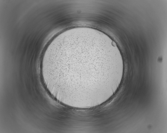 X0000116811082201001291556