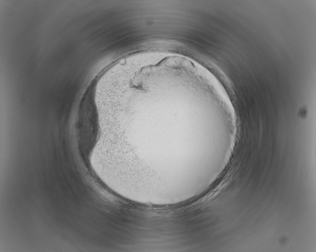X0000116811083201001291556