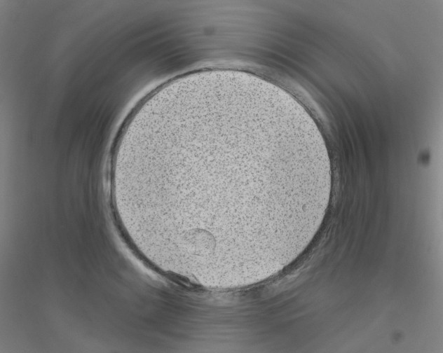 X0000116811084201001291556