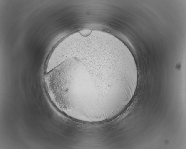 X0000116811087201001291556