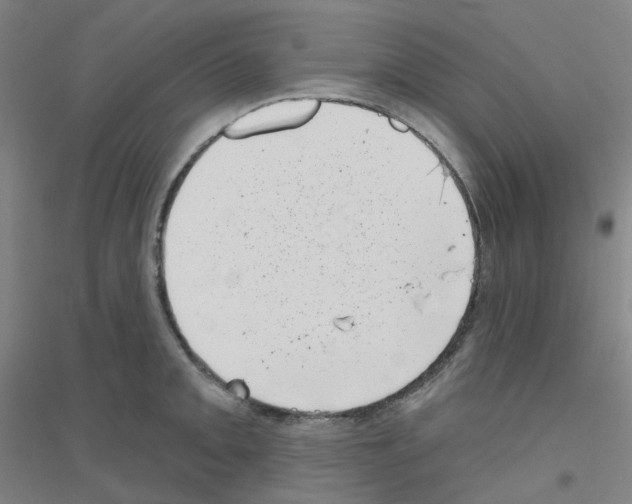 X0000116811093201001291556
