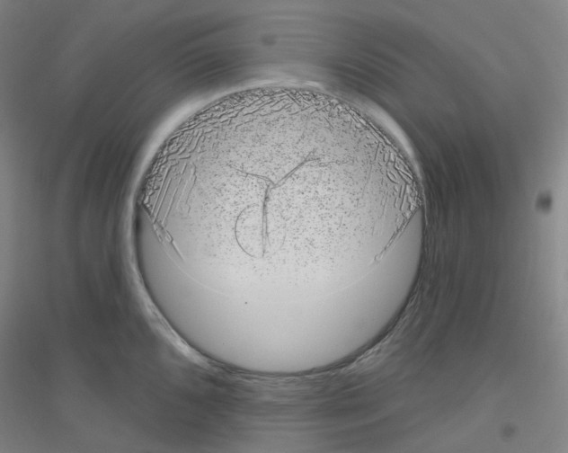 X0000116811096201001291556