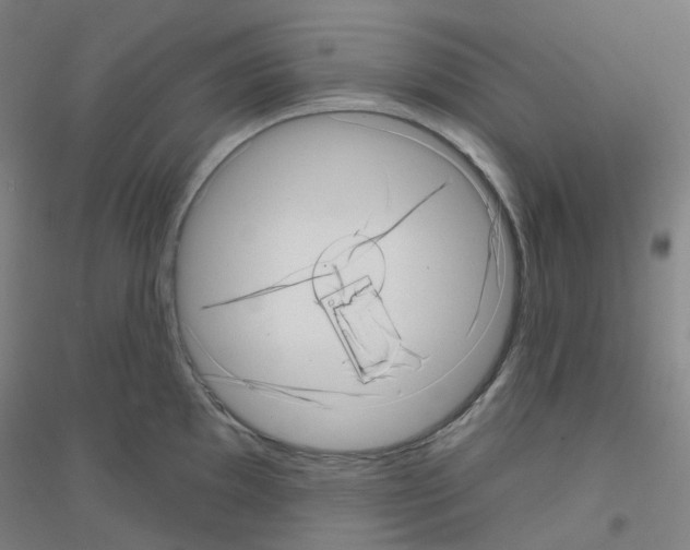 X0000116811097201001291556