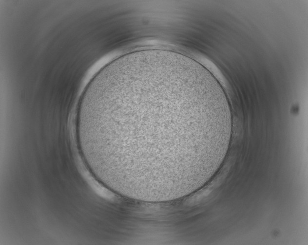 X0000116811098201001291556