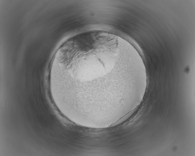 X0000116811099201001291556