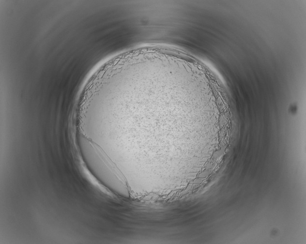 X0000116811100201001291556
