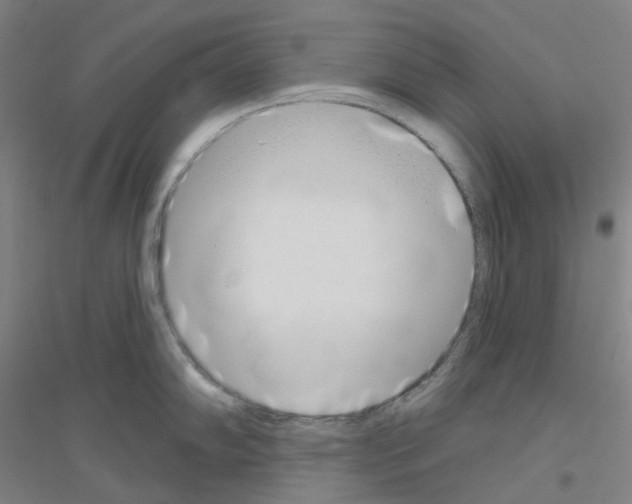 X0000116811102201001291556
