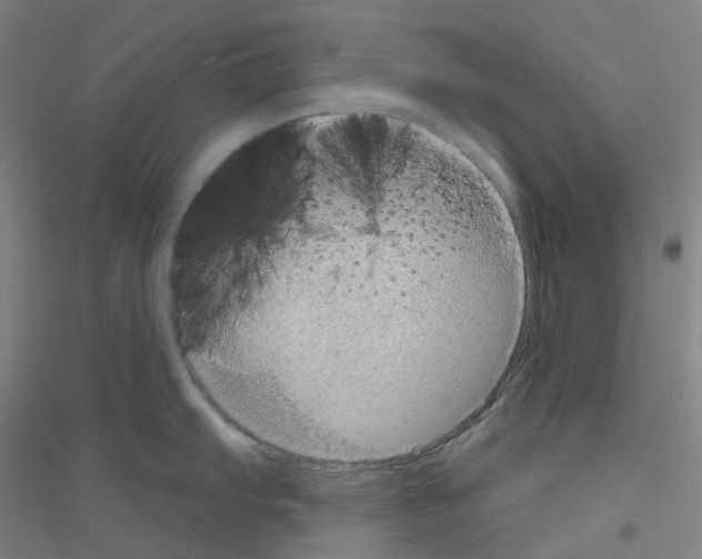 X0000116811103201001291556