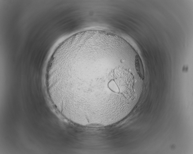 X0000116811104201001291556
