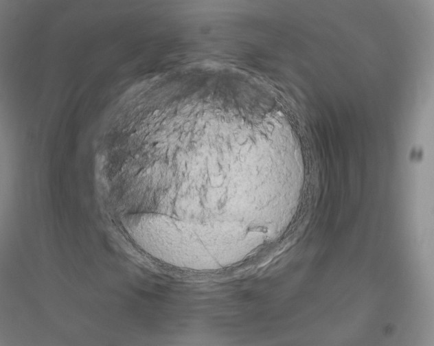 X0000116811105201001291555