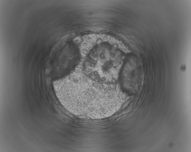 X0000116811106201001291555