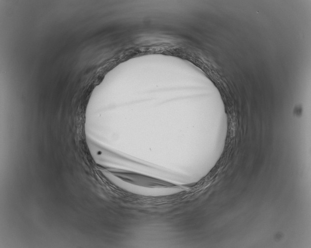 X0000116811109201001291555