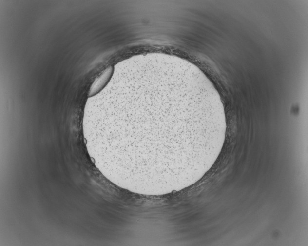 X0000116811110201001291555