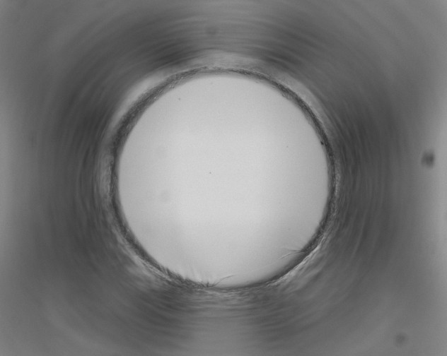 X0000116811115201001291555