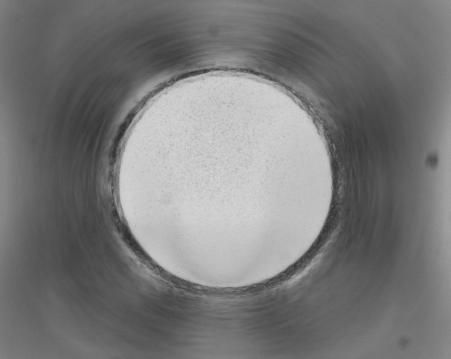X0000116811118201001291555