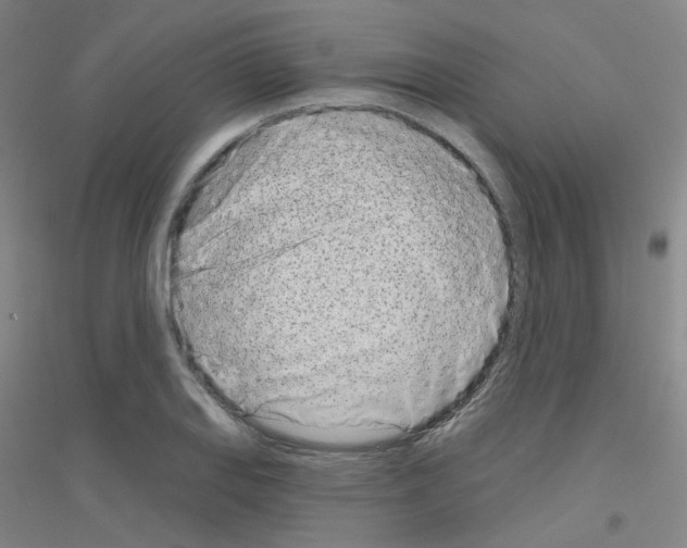 X0000116811127201001291555