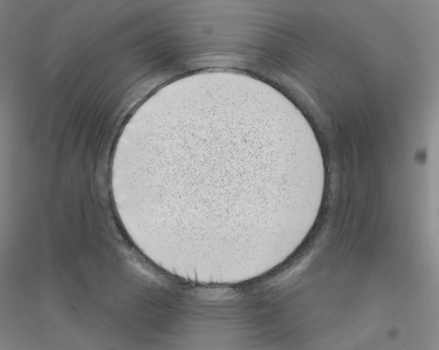 X0000116811129201001291555