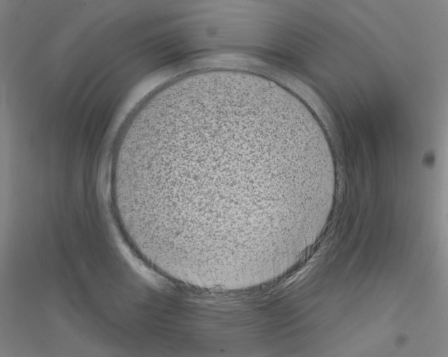 X0000116811131201001291556
