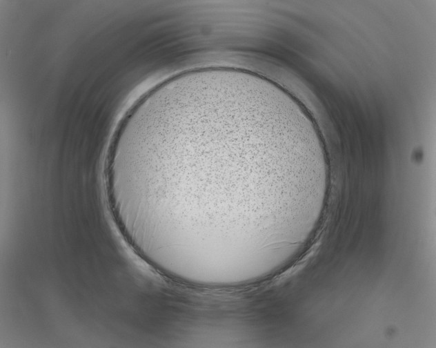 X0000116811133201001291556