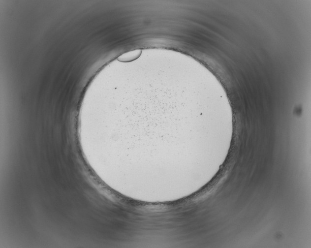 X0000116811134201001291556