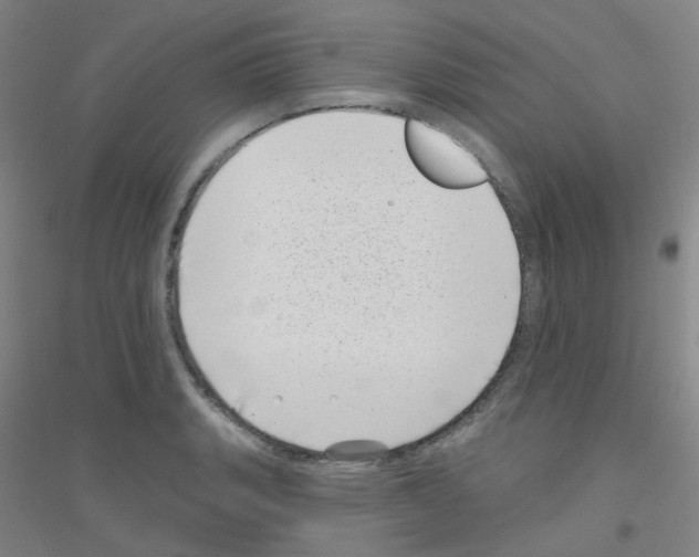X0000116811135201001291556
