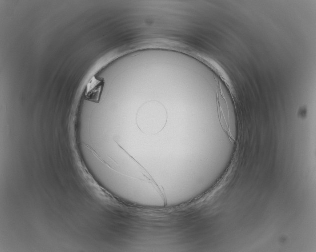 X0000116811138201001291556
