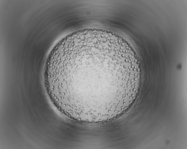 X0000116811139201001291556