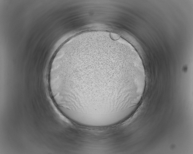 X0000116811141201001291556