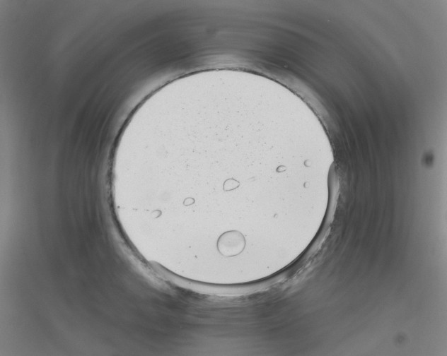 X0000116811142201001291556