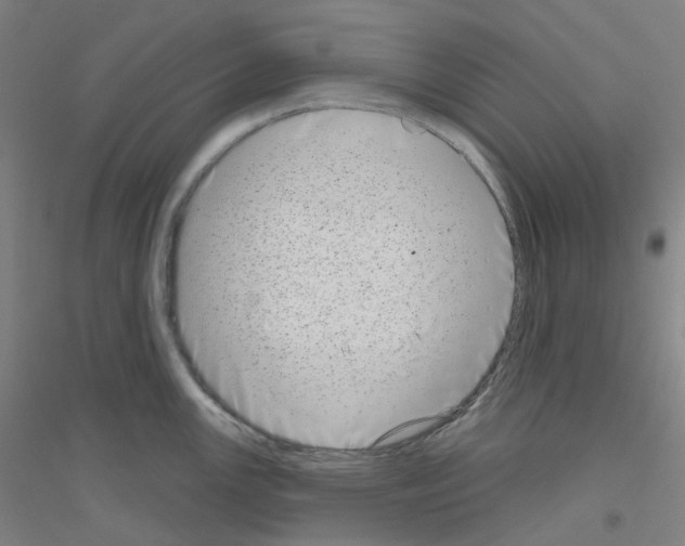 X0000116811147201001291556