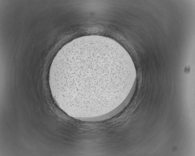X0000116811153201001291555