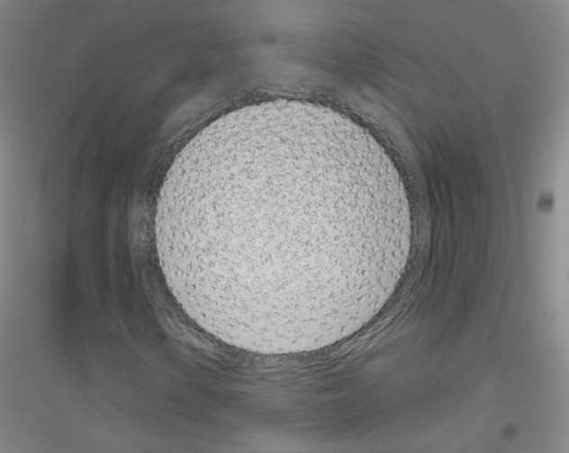 X0000116811154201001291555