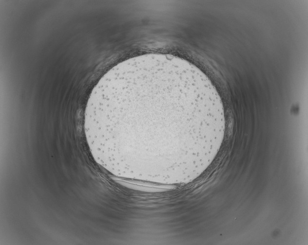 X0000116811156201001291555