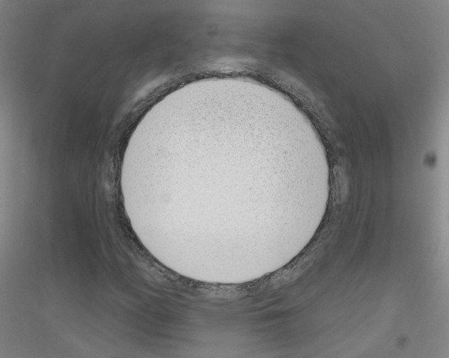 X0000116811158201001291555