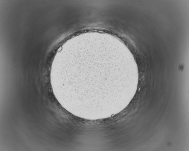 X0000116811159201001291555