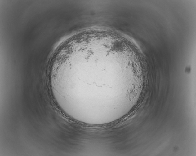 X0000116811160201001291555