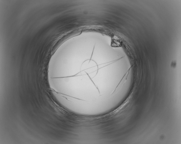 X0000116811161201001291555