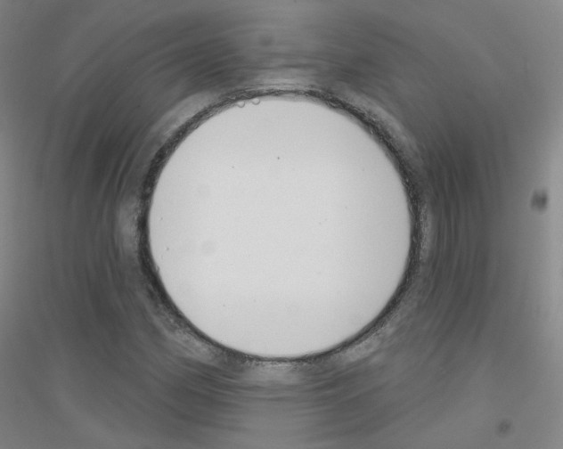 X0000116811162201001291555