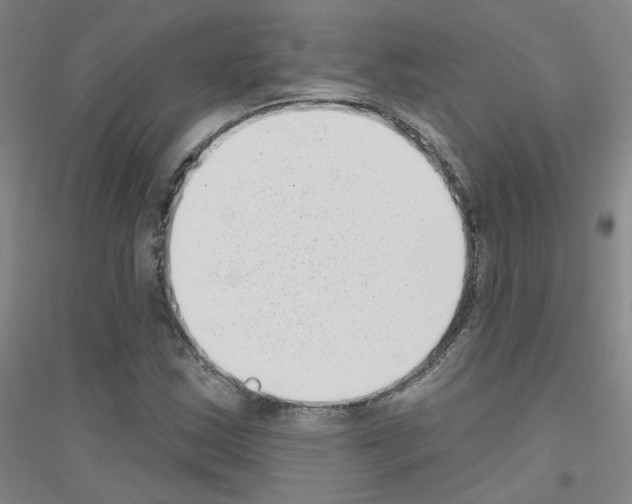 X0000116811163201001291555