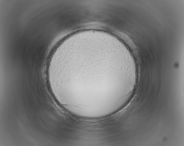 X0000116811164201001291555