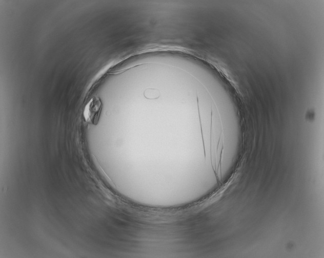 X0000116811165201001291555