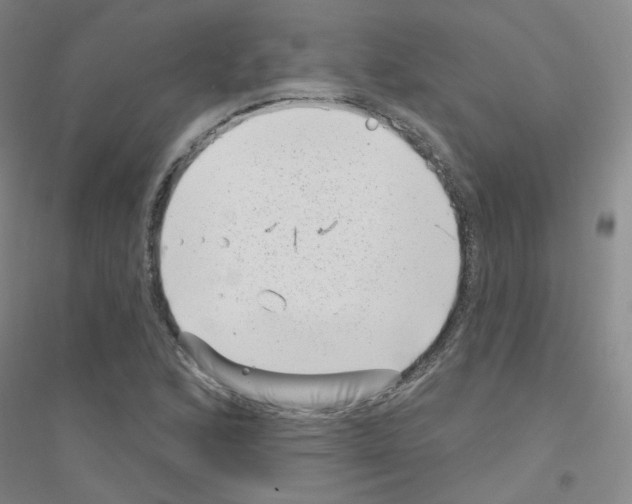 X0000116811168201001291555