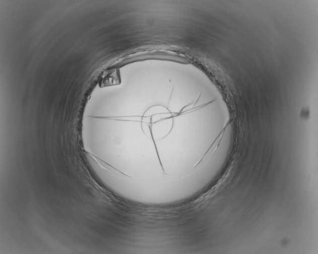 X0000116811169201001291555
