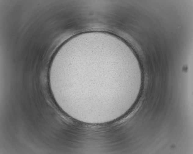 X0000116811170201001291555