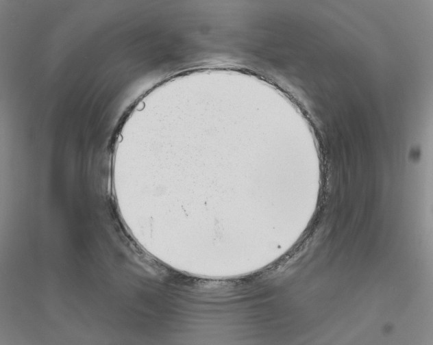 X0000116811171201001291555