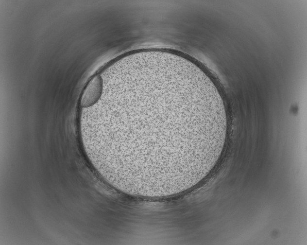 X0000116811173201001291555